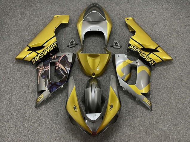2005-2006 Or & Argent Kawasaki ZX6R Carénage Moto
